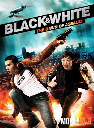 Black & White The Dawn of Assault 2012 Hindi Dubbed BluRay Full Movie 720p 480p