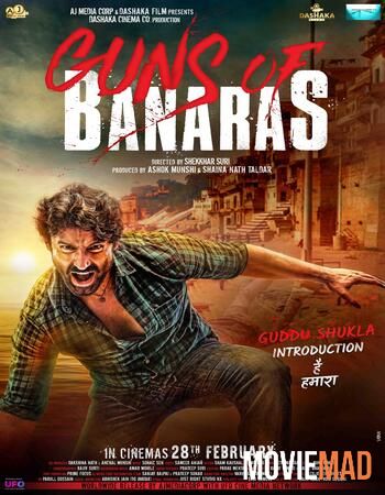 Guns of Banaras (2020) Hindi WEB DL Full Movie 720p 480p