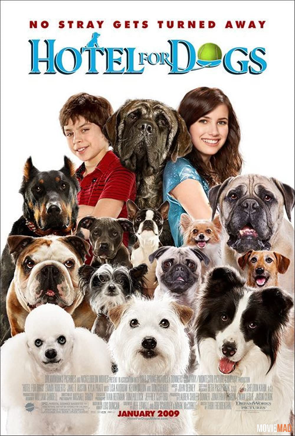 Hotel for Dogs (2009) Hindi Dubbed ORG BluRay Full Movie 720p 480p