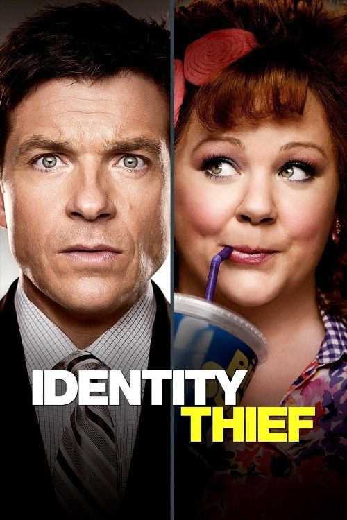 Identity Thief (2013) Hindi Dubbed ORG Full Movie BluRay