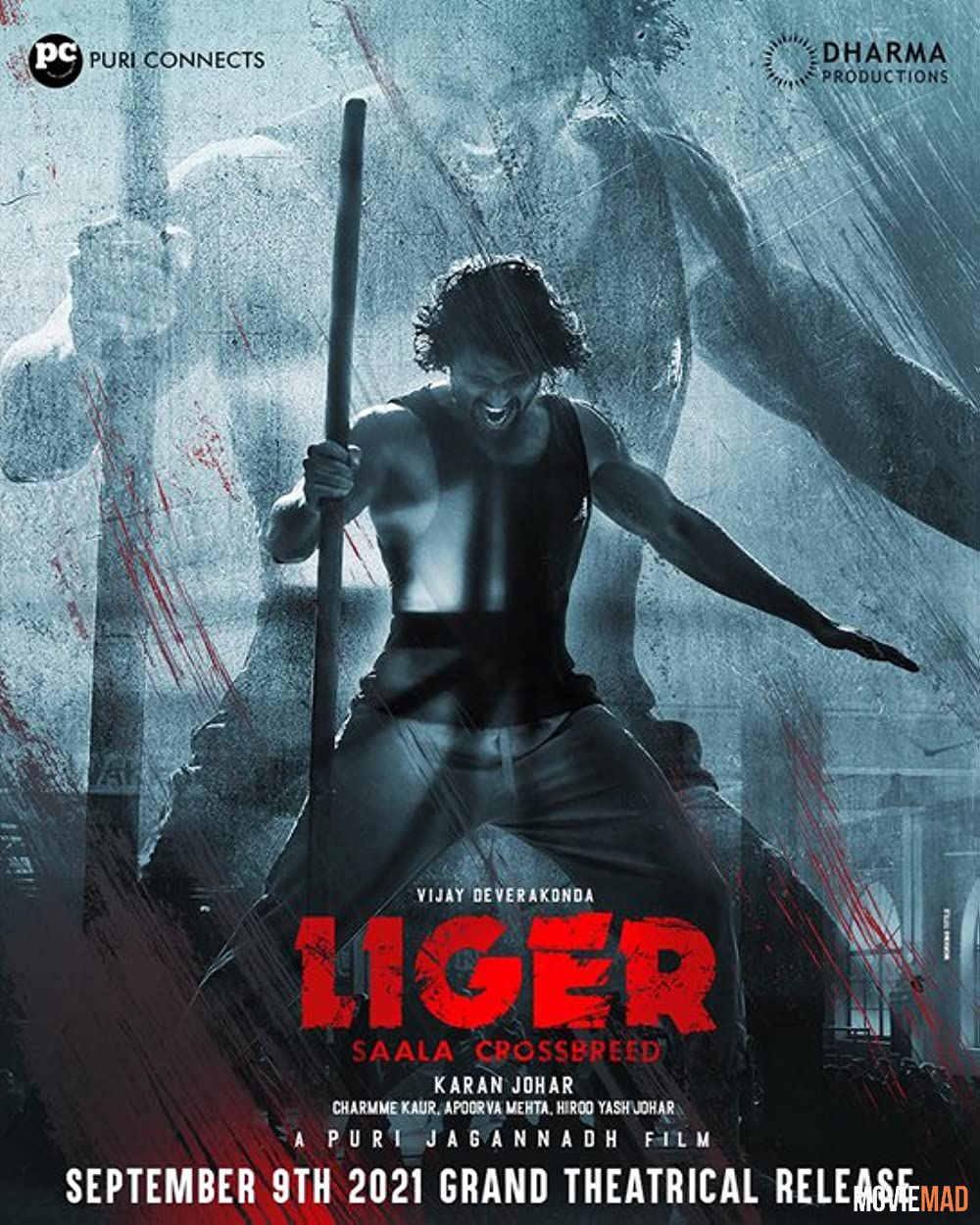 Liger (2022) Hindi DSNP HDRip Full Movie 1080p 720p 480p