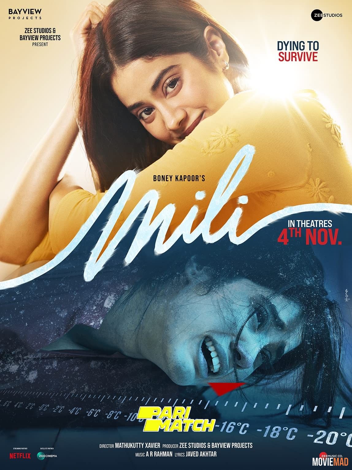 Mili (2022) Hindi pDVDRip Full Movie 1080p 720p 480p