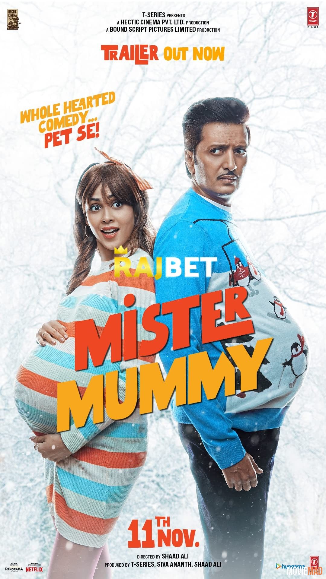 Mister Mummy (2022) Hindi pDVDRip Full Movie 1080p 720p 480p