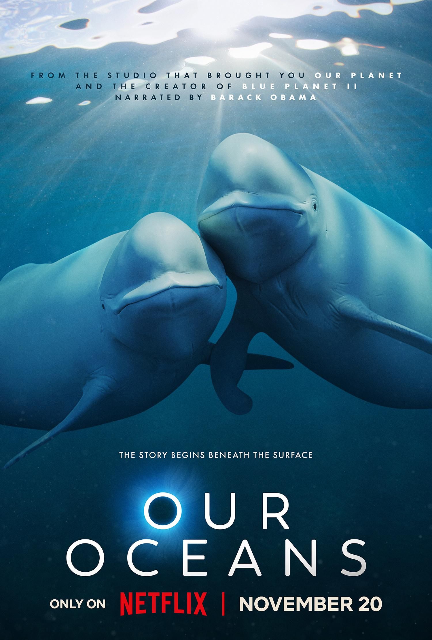 Our Oceans (2024) (Season 1 Complete) Hindi Dubbed Series HDRip