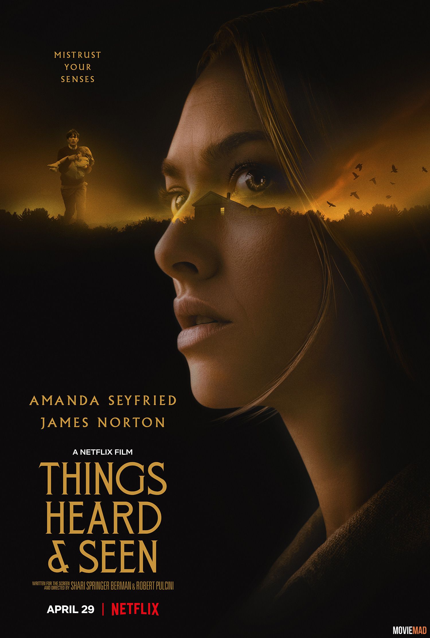 Things Heard & Seen 2021 Dual Audio Hindi ORG NF HDRip Full Movie 720p 480p